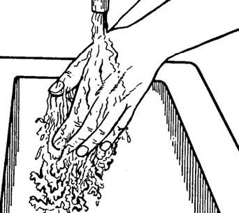 342x305 5.03 Steps For Performing The Two Minute Handwashing Basic - Hand Washing Sketch