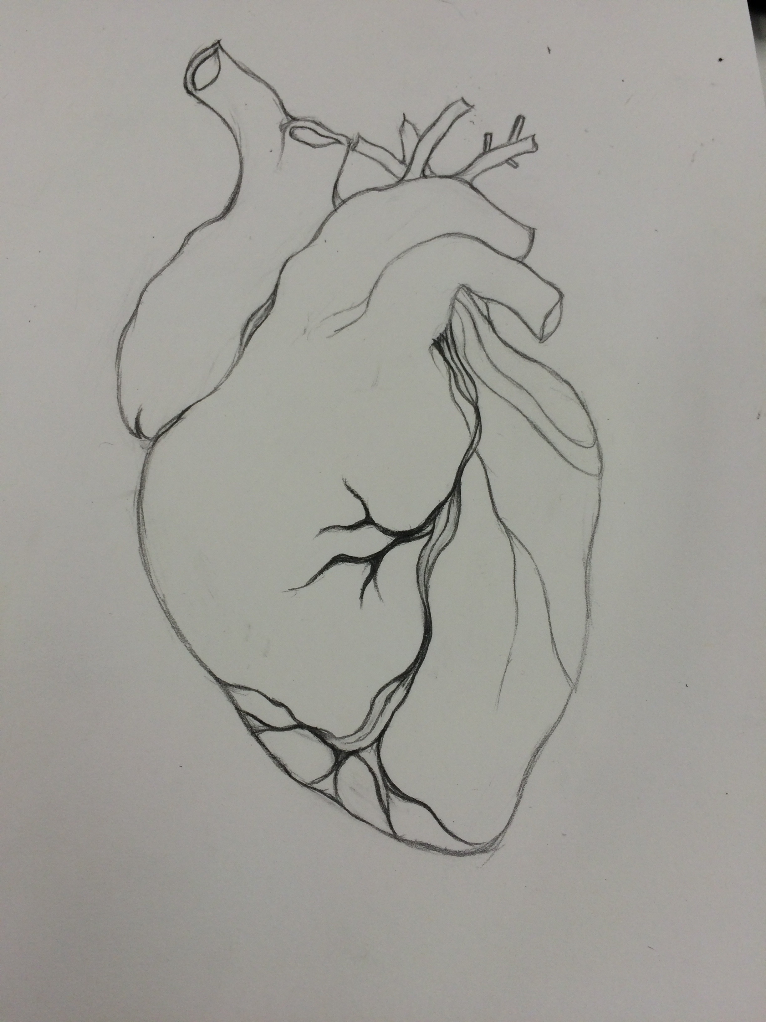 2448x3264 I Had My Head In My Hands And My Heart On The My Blog - Hands Making A Heart Sketch