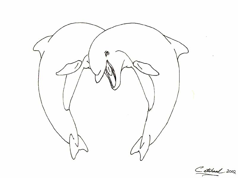 800x600 Drawn Dolphin Heart - Hands Making A Heart Sketch