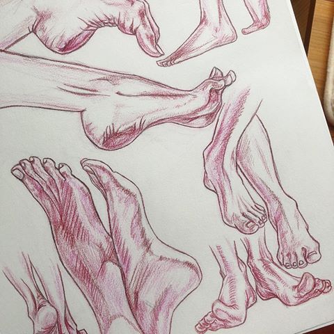 480x480 Images About - Happy Feet Sketch