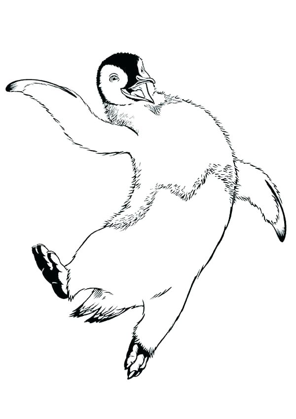 600x849 Feet Coloring Pages - Happy Feet Sketch