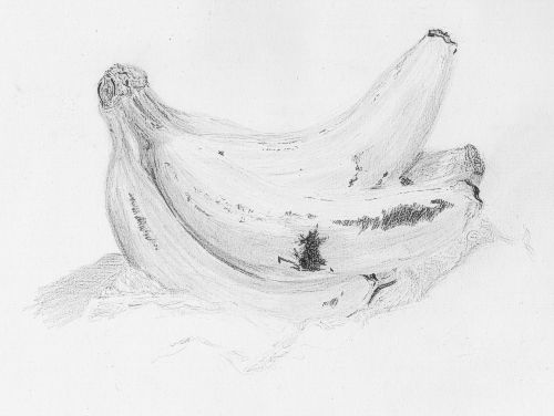 500x376 Real Life Sketches - Hard Sketches