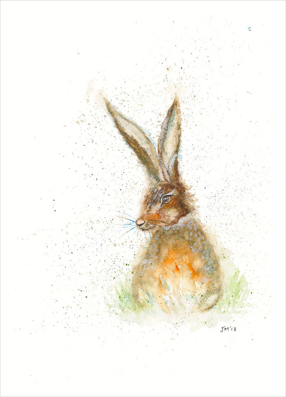 1000x1389 Hare - Hare Sketch