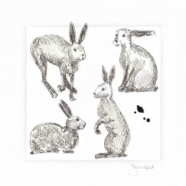 600x600 Hare Pen Sketch - Hare Sketch