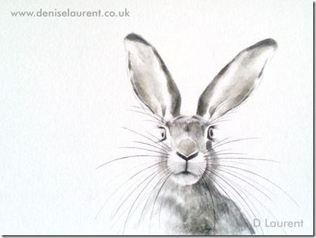 450x339 Hare Sketch Art Inspiration Sketches, Paintings - Hare Sketch