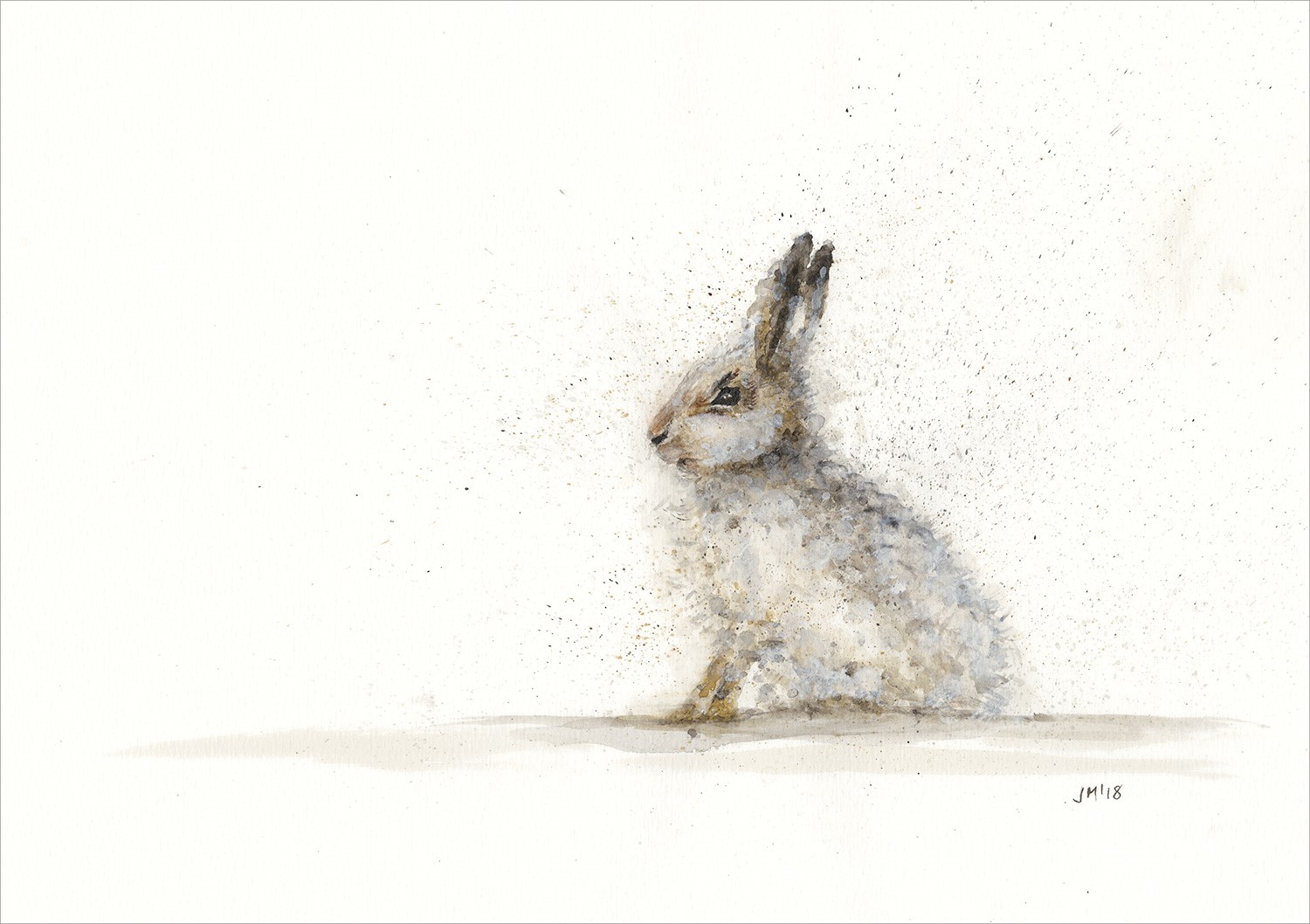 1500x1058 Mountain Hare - Hare Sketch