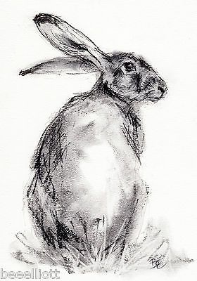 280x400 Pin By Vasdekeio On Drawings - Hare Sketch