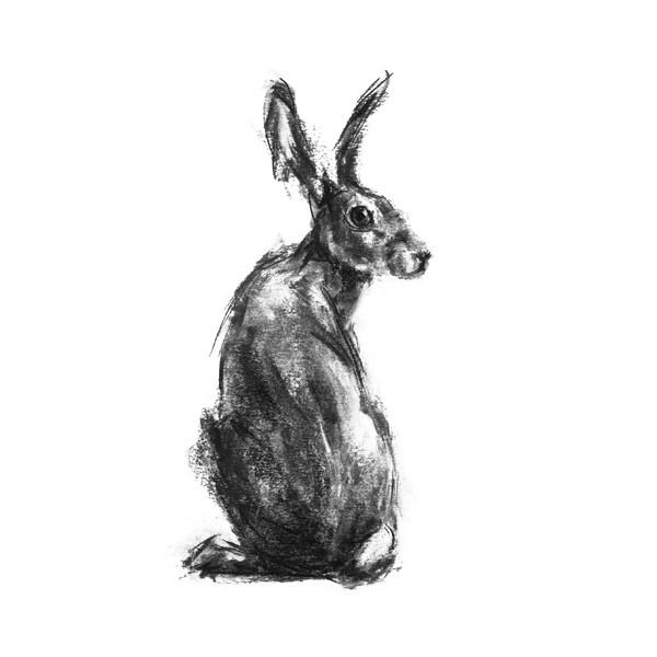 600x600 Prudence Hare Sketch Print - Hare Sketch