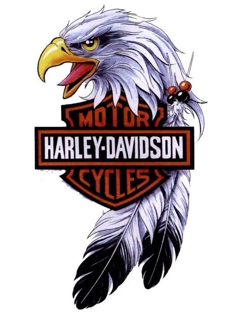 Harley Davidson Logo Sketch at PaintingValley.com | Explore collection ...