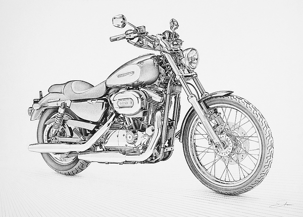 600x430 Harley Davidson 1200 Custom Drawing By Regan Peters - Harley Davidson Motorcycle Sketch