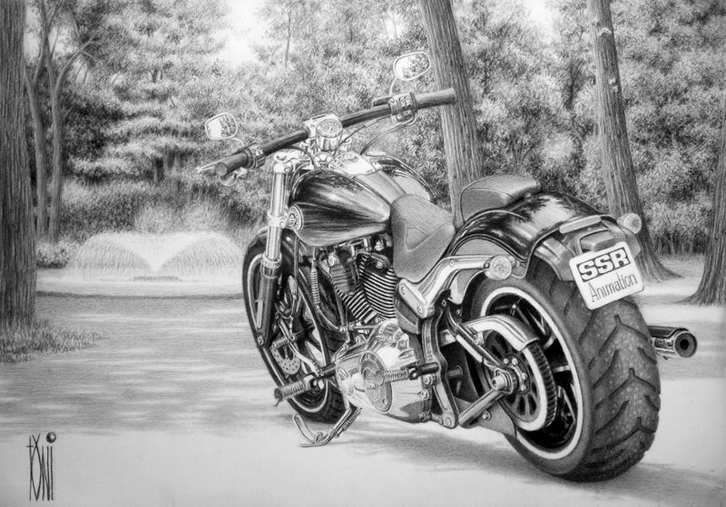 800x559 Harley Davidson Softail By Toniart57 - Harley Motorcycle Sketch