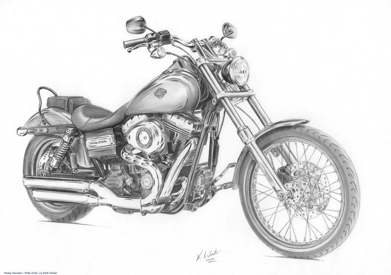 800x562 Harley Davidson Wideglide - Harley Motorcycle Sketch