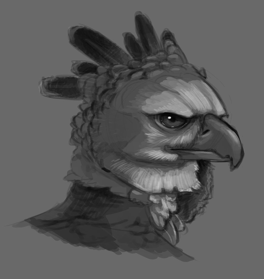 868x920 Harpy Eagle By Scalyfloof - Harpy Eagle Sketch