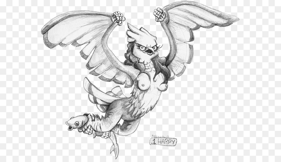 900x520 Legendary Creature Line Art Cartoon Sketch - Harpy Eagle Sketch