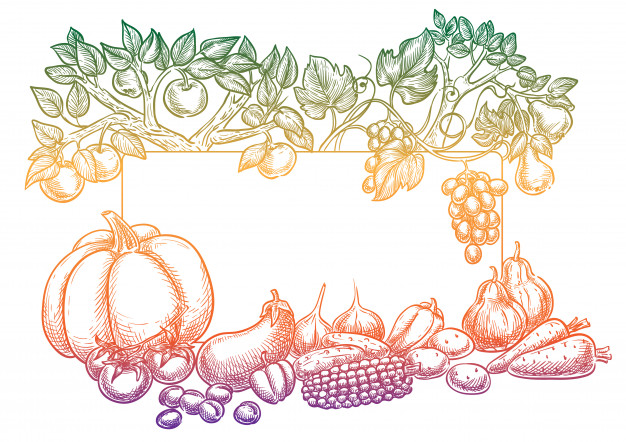 626x442 Harvest Sketch Background Vector Premium Download - Harvest Sketch