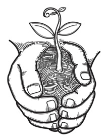 216x276 Plant A Garden, Harvest A Community - Harvest Sketch