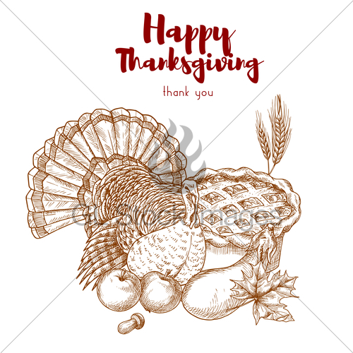 500x500 Thanksgiving Holiday Sketch Turkey, Pie, Harvest Gl Stock Images - Harvest Sketch