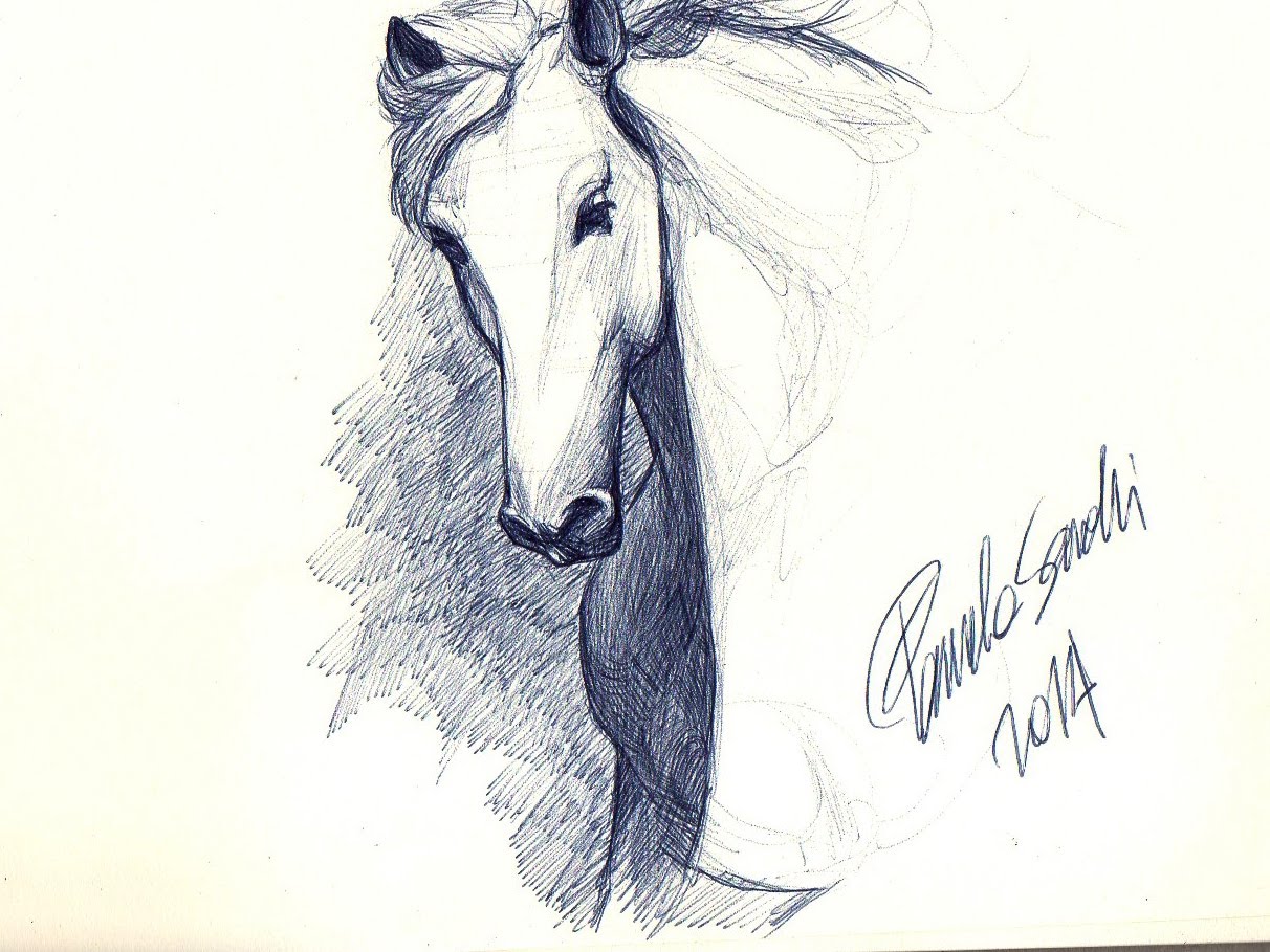 1212x909 White Horse Speed Realistic Draw. Sketch And Hatching With - Hatching Sketch