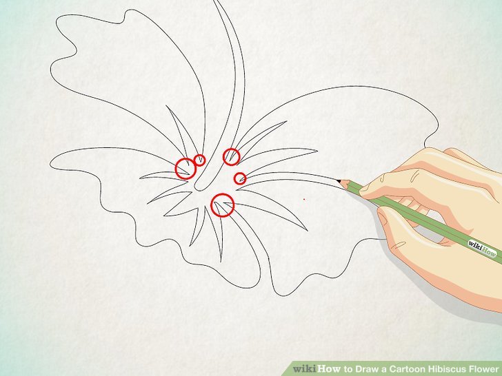 728x546 2 Easy Ways To Draw A Cartoon Hibiscus Flower - Hawaii Flower Sketch
