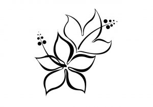 300x210 Hawaiian Flowers Drawing Hawaiian Flower Drawing Easy Hawaiian - Hawaii Flower Sketch