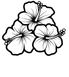 236x265 Easy To Draw Hawaiian Flowers - Hawaiian Flower Sketch