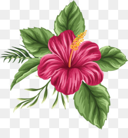 Hawaiian Flower Sketch at PaintingValley.com | Explore collection of ...
