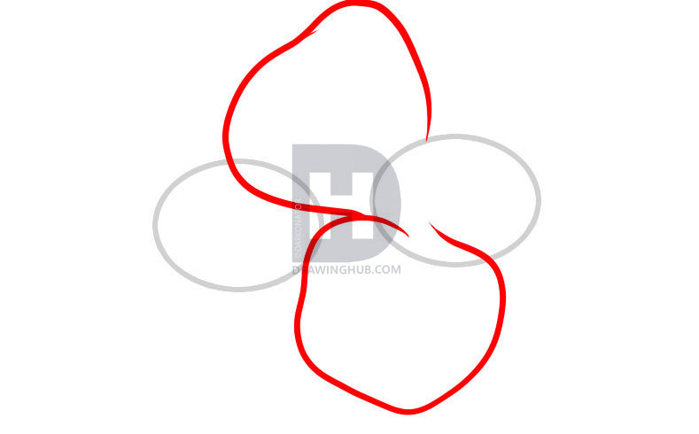 789x490 How To Draw Hawaiian Flowers, Step By Step, Drawing Guide, By - Hawaiian Flower Sketch