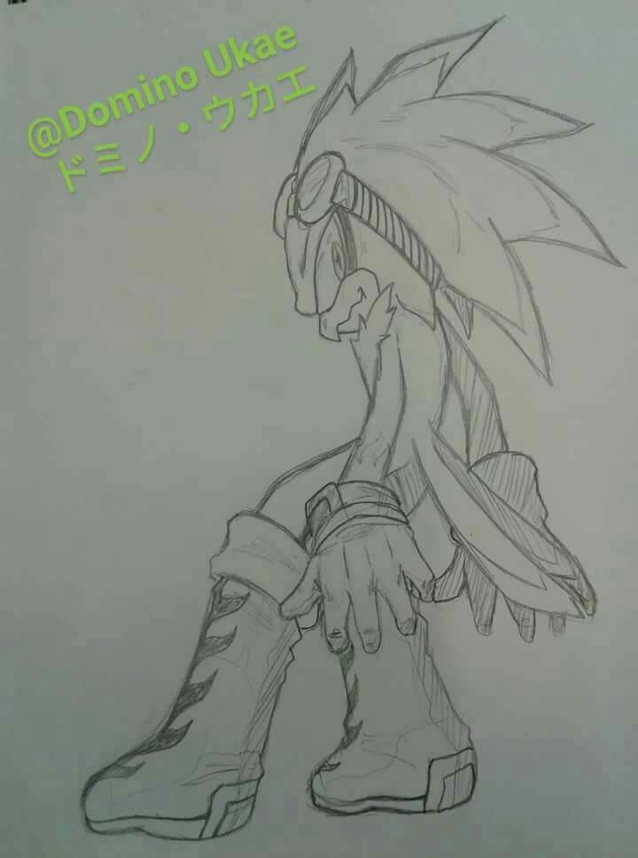 720x967 Jet The Hawk Sketch The Furry Community Amino!! Amino - Hawk Sketch