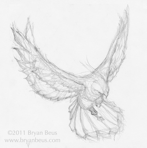 600x603 Hawk Bryan Beus Artist Amp Author - Hawk Sketch