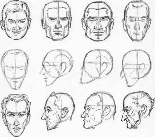 637x561 Round - Head Sketch