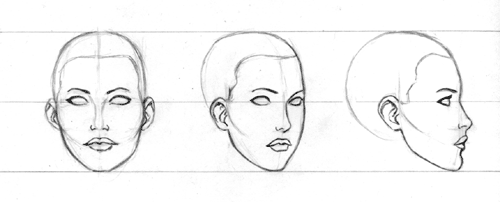 500x202 Tutorial Female Head - Head Sketch