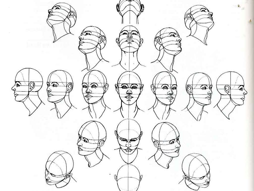 1024x768 Number Of Head Drawing Tutorials. Useful For When Learning To Draw - Head Sketch