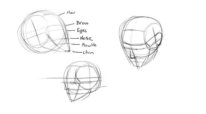 672x372 Head Construction Sketches Part 1 - Head Sketches