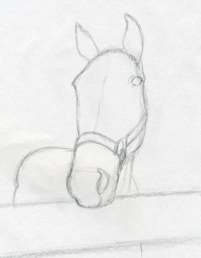 700x898 How To Draw Horse Head - Head Sketches