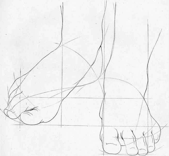 698x642 Sketches Of Human Anatomy - Head Sketches