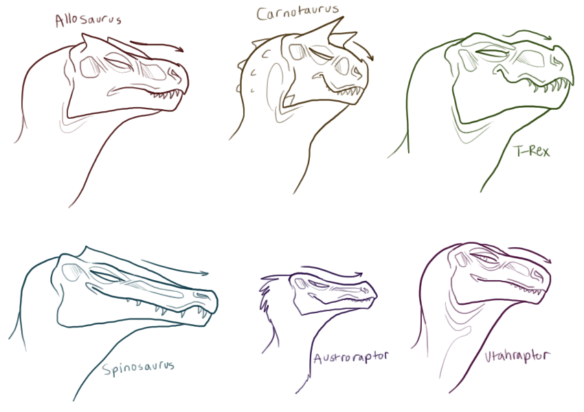 850x600 Carnivore Head Sketches By Trunswicked - Head Sketches