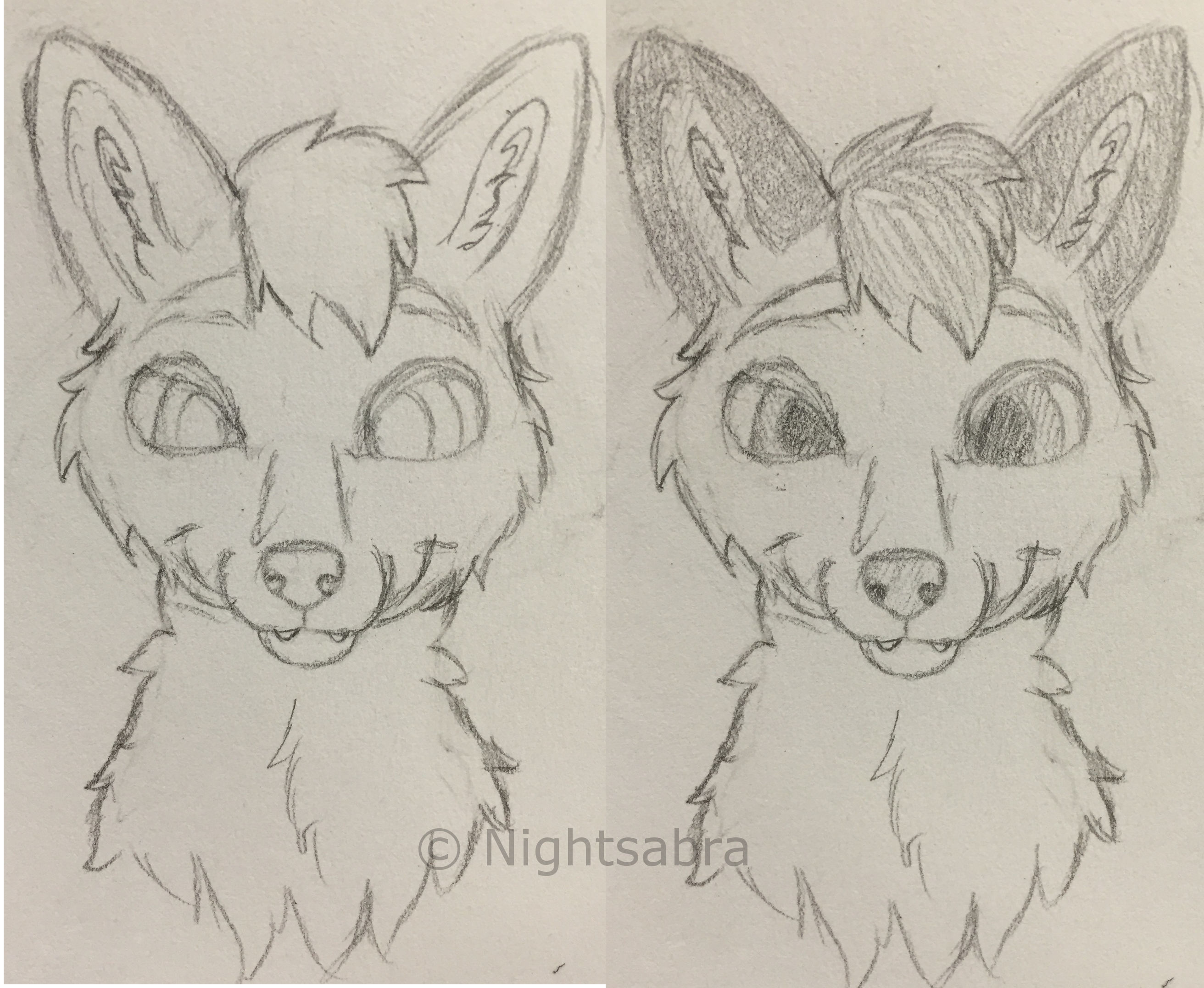 2624x2152 Fox Headshot Sketch Weasyl - Headshot Sketch