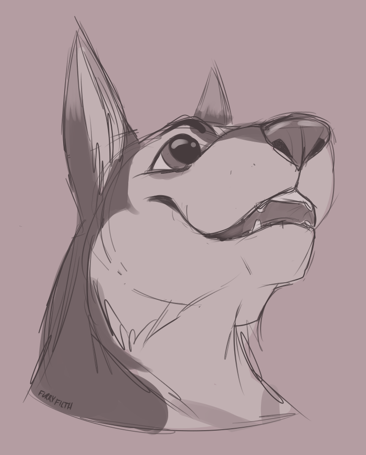 753x935 Headshot Sketch Commission By Furryfilth - Headshot Sketch