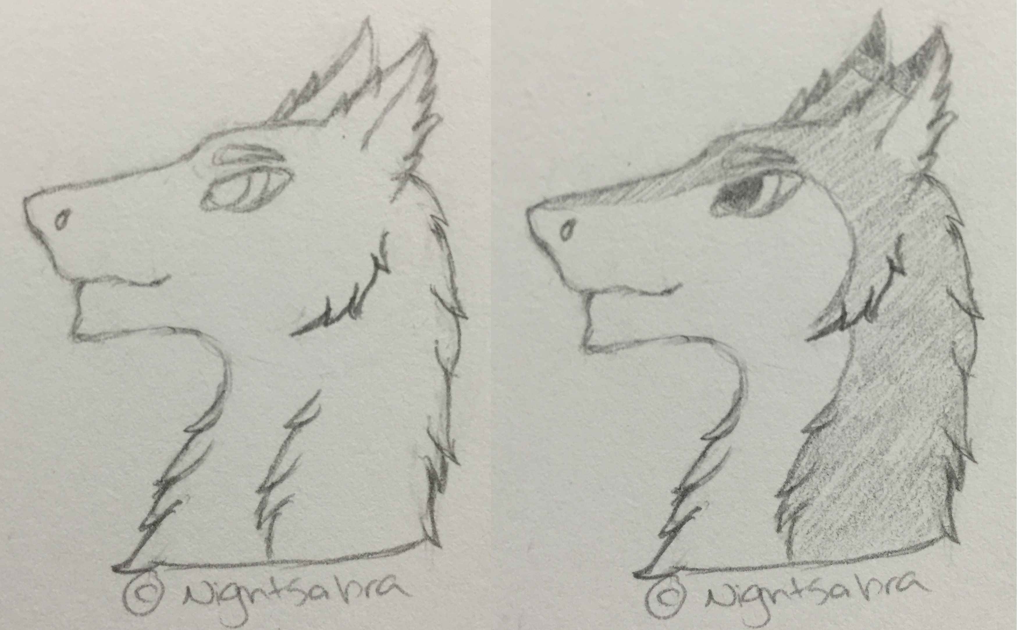 3500x2168 Snowconepup Headshot Sketch Weasyl - Headshot Sketch