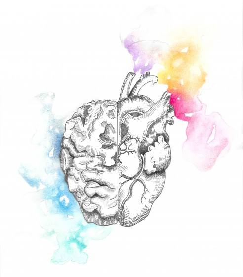 492x561 Intelligence, Mental Health, And The Battle For The 4.0 - Health Sketch