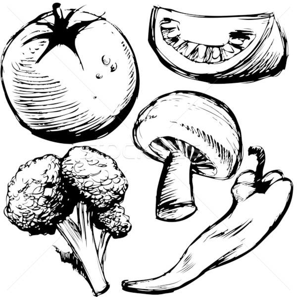 600x600 Healthy Foods Vector Illustration John Takai (Cteconsulting - Healthy Food Sketch