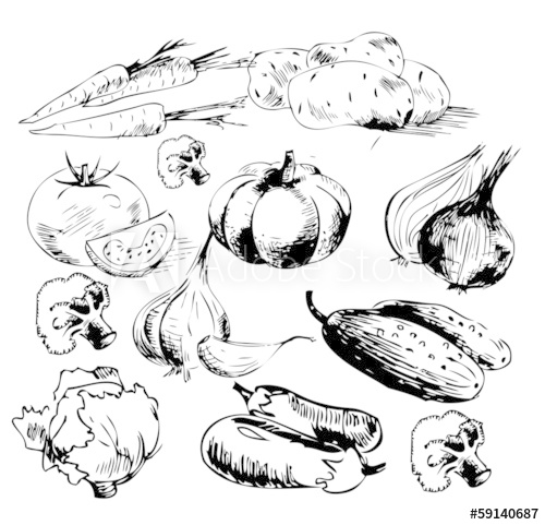 500x481 Healthy Food. Sketch Style - Healthy Food Sketch