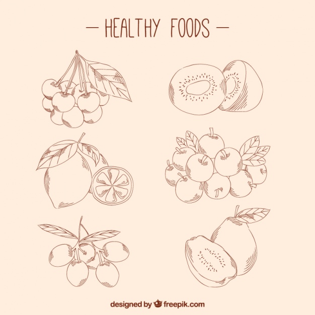 626x626 Pack Of Healthy Food Sketches Vector Free Download - Healthy Food Sketch