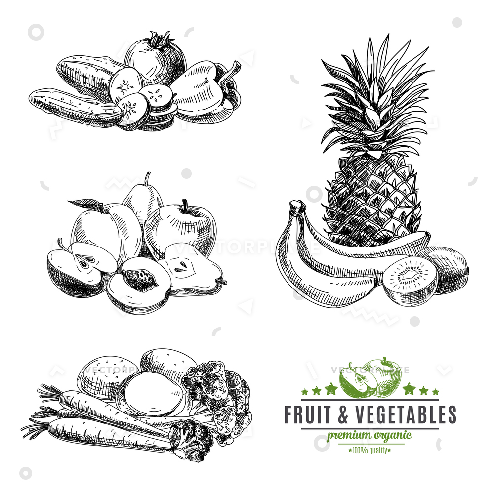 1000x1000 Set Fruit Vegetables Healthy Food Sketch Vector Illustration 57183 - Healthy Food Sketch
