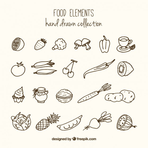 626x626 Sketches Variety Of Healthy Food Vector Free Download - Healthy Food Sketch