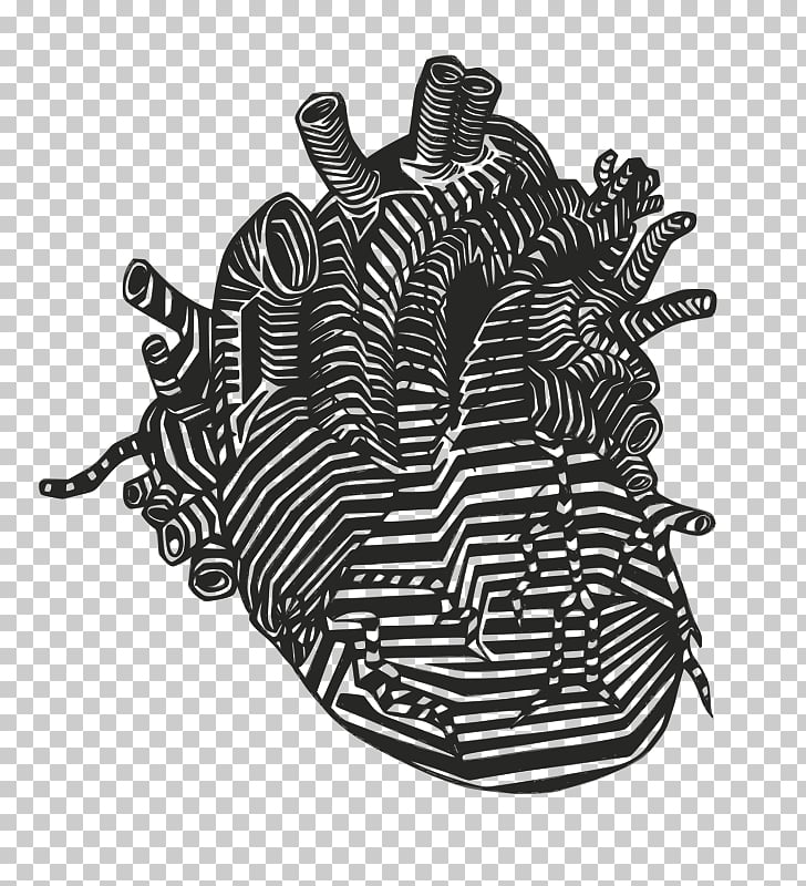 728x800 Heart Anatomy Drawing Vein , Heart Png Clipart Free Cliparts - Heart Anatomy Sketch