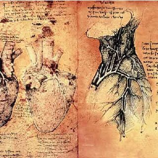 320x320 Anatomical Drawings Of The Heart And Major Blood Vessels, Leonardo - Heart Anatomy Sketch