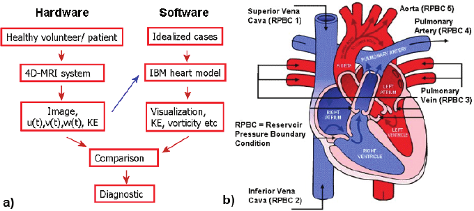 680x303 The Proposed Cardiovascular Modeling System (Cms) And Sketch Of - Heart Diagram Sketch
