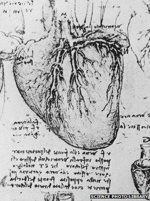 304x405 What Leonardo Taught Us About The Heart - Heart Diagram Sketch
