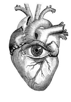 236x339 Diagram Of A Human Heart For Kids Tattoo Drawings - Heart Diagram Sketch
